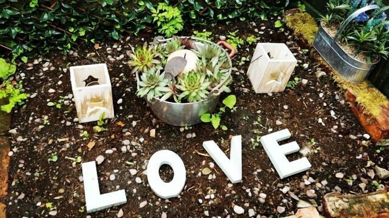 Photo of Others in Macclesfield