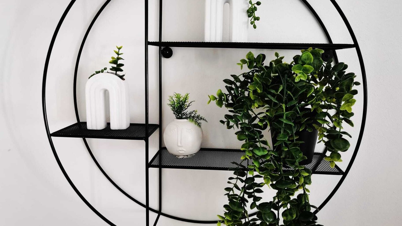 Photo of Others in Macclesfield