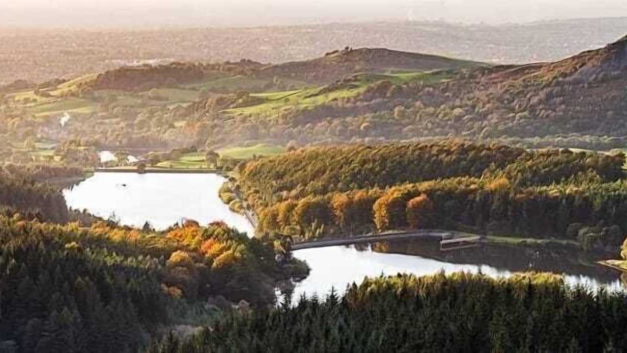 Photo of Others in Macclesfield