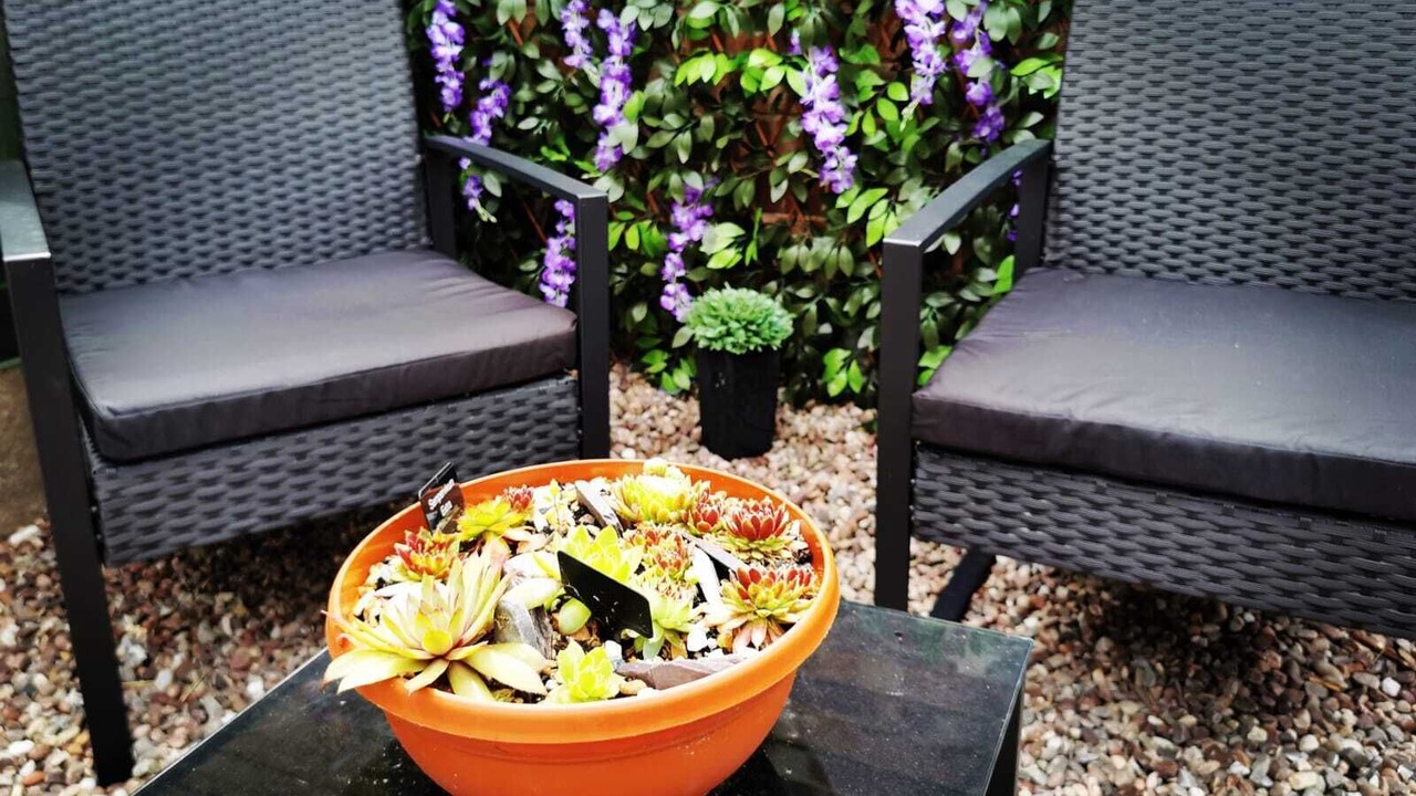 Photo of Others in Macclesfield