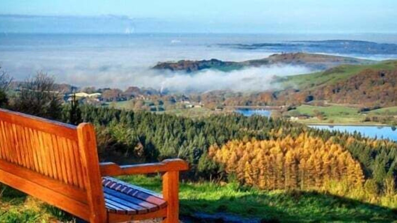 Photo of Others in Macclesfield