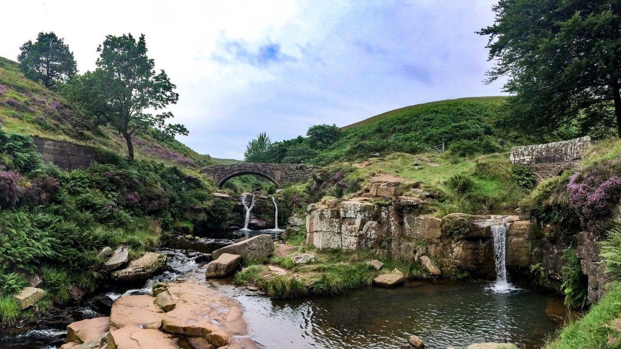 Photo of Others in Macclesfield