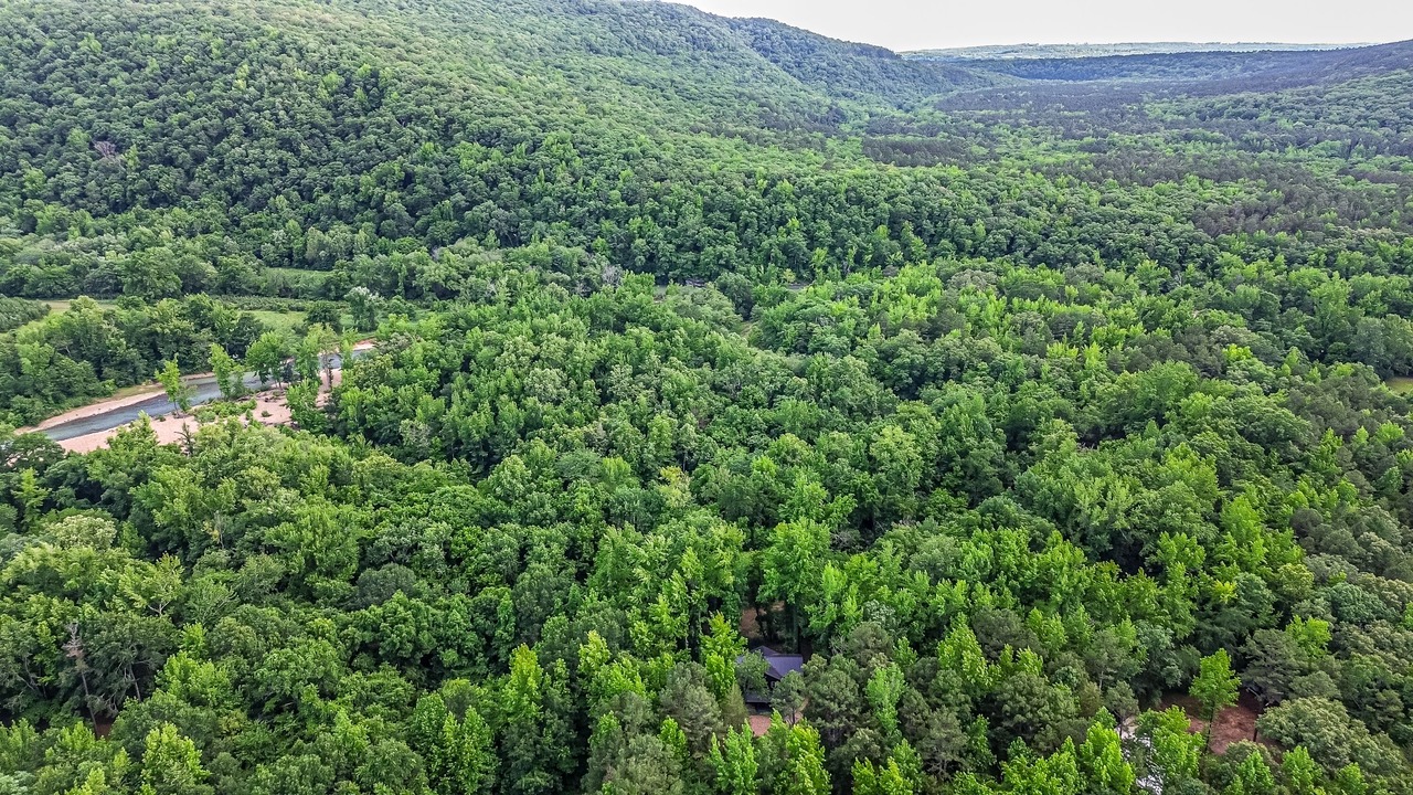 Photo of Outdoor in Ozark