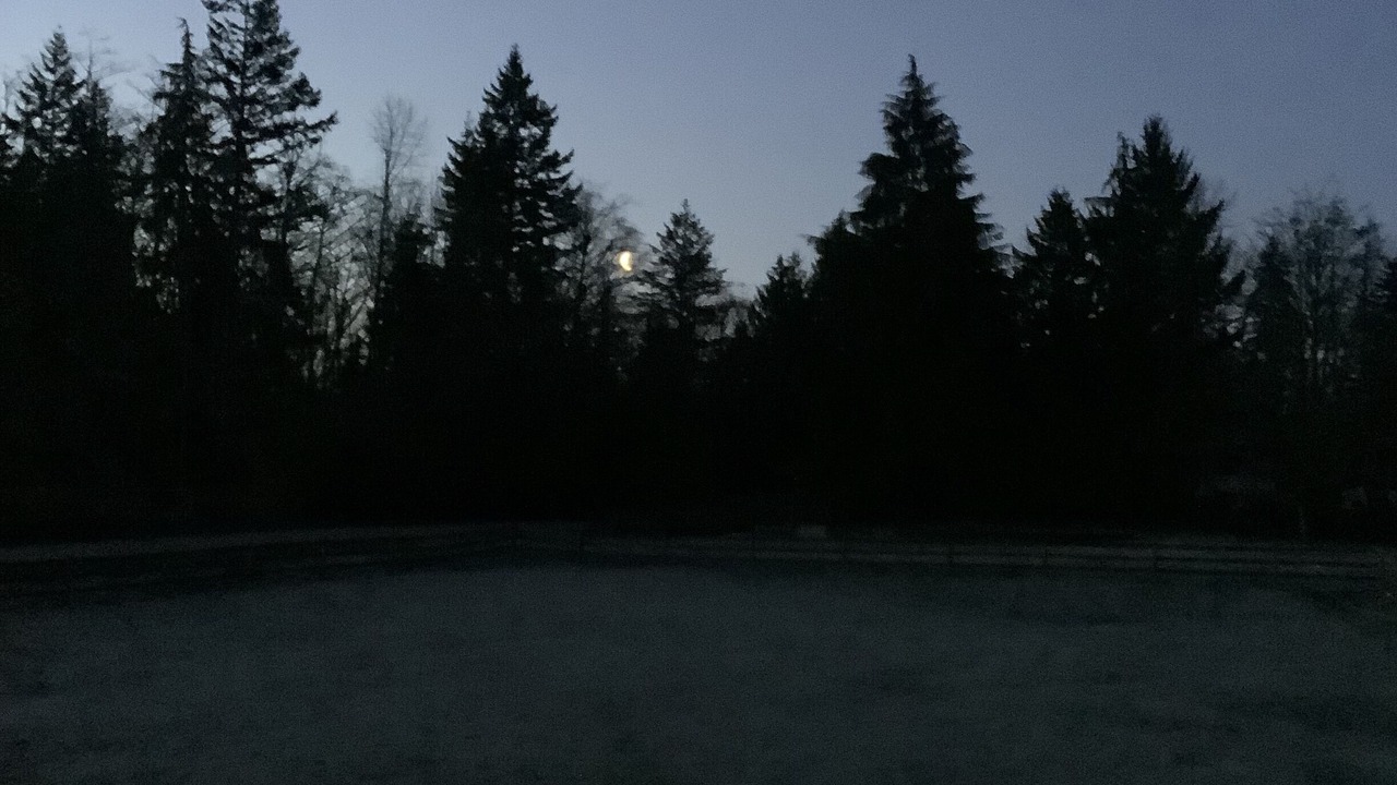 Photo of Others in Big Lake