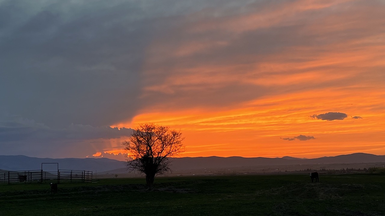 Photo of Outdoor in St. Ignatius