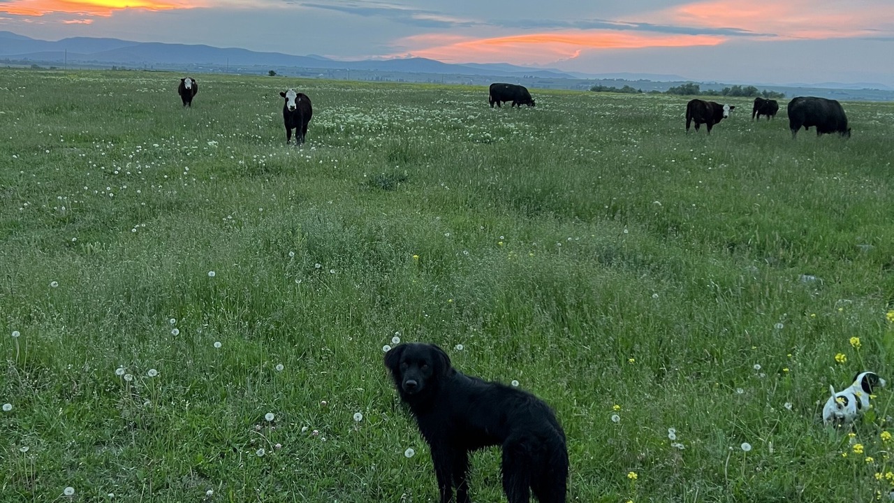 Photo of Outdoor in St. Ignatius