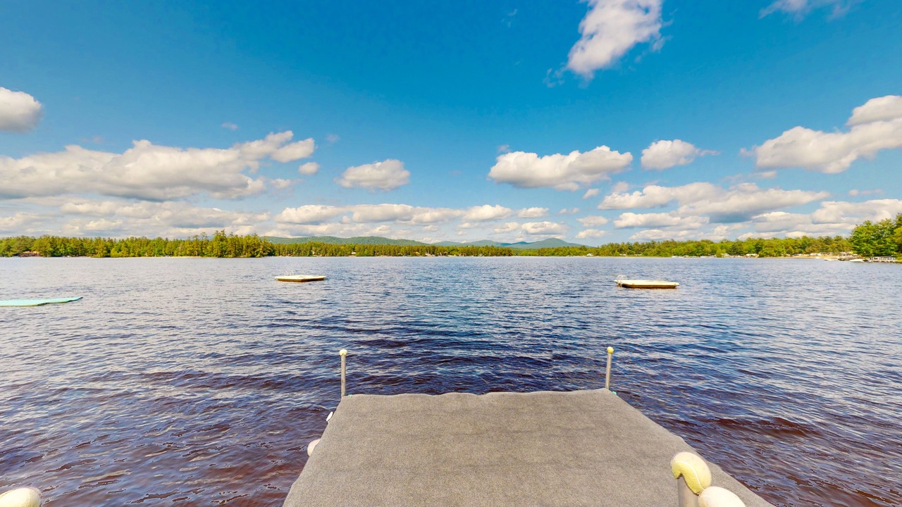 Photo of Others in The Bays