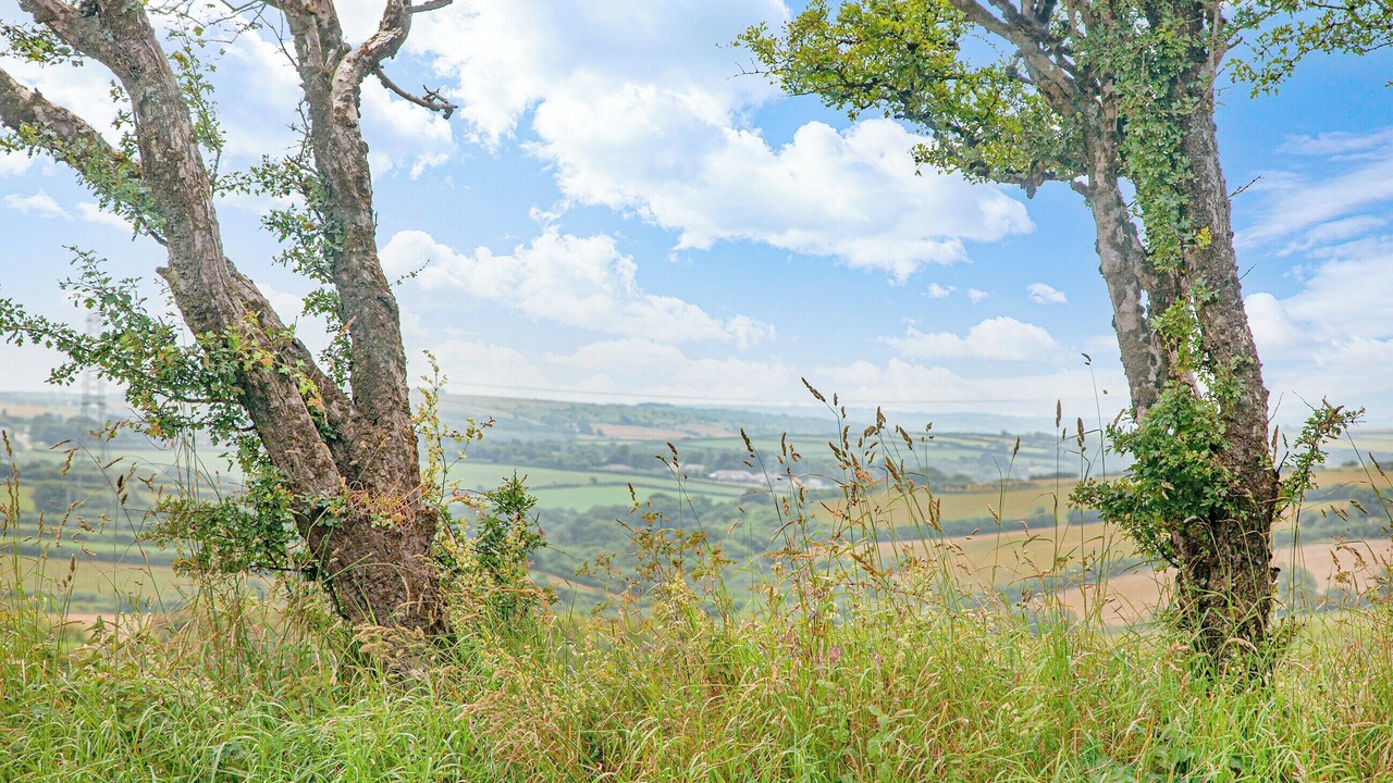 Photo of Others in Camelford