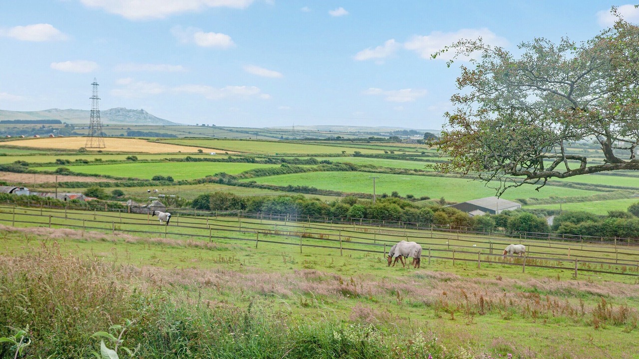 Photo of Others in Camelford