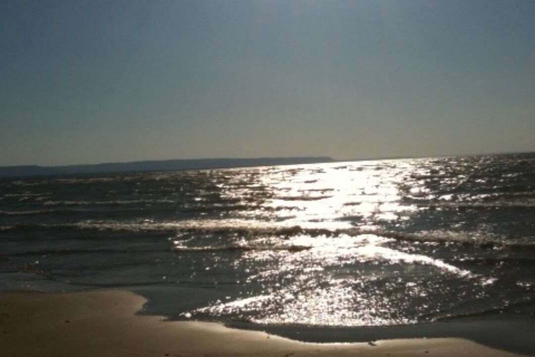 Photo of Others in Wasaga Beach