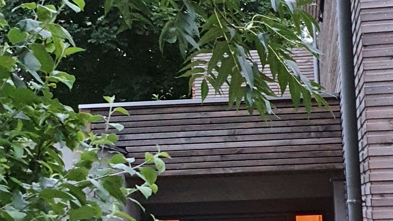 Photo of Outdoor in Bougival