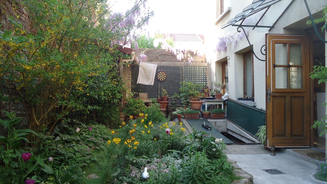 Photo of Outdoor in Malakoff