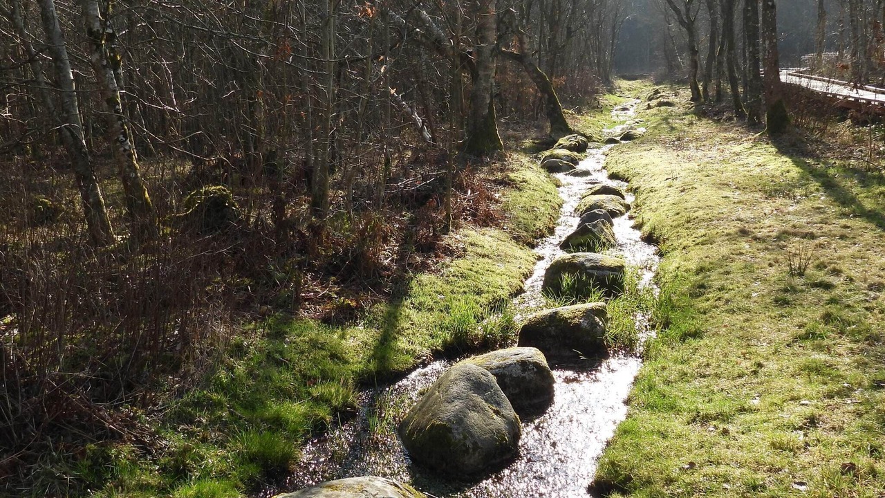 Photo of Others in Aabybro