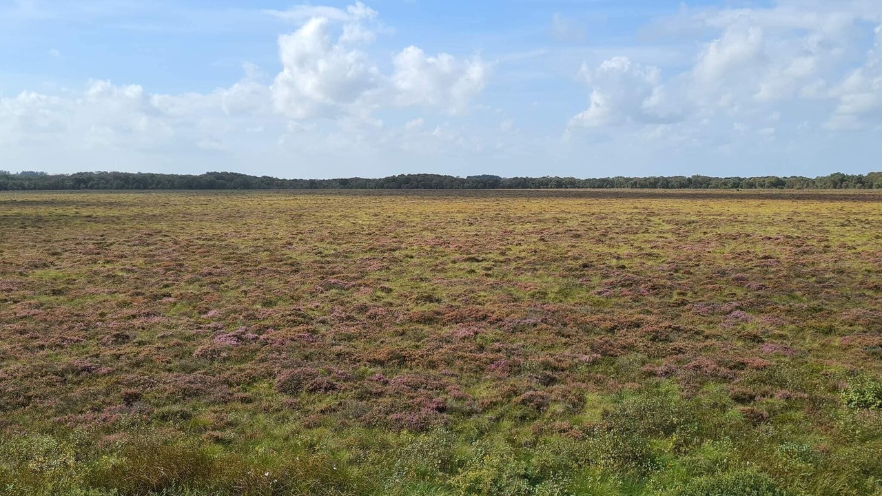 Photo of Others in Aabybro