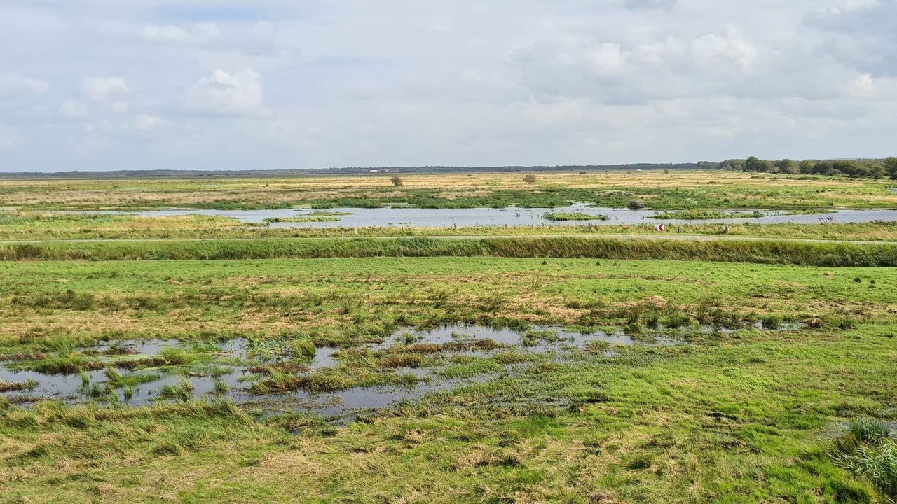 Photo of Others in Aabybro