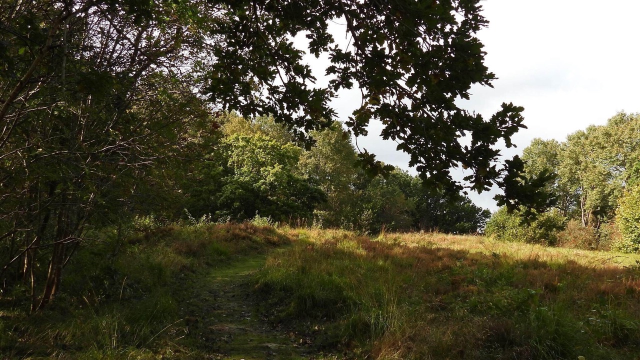 Photo of Others in Aabybro