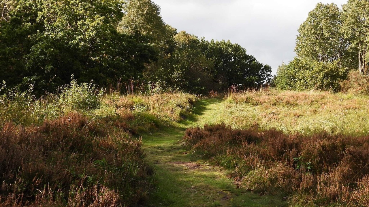 Photo of Others in Aabybro