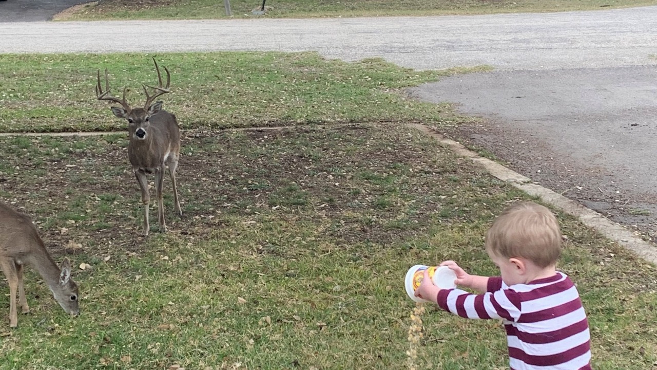 Photo of Others in Canyon Lake