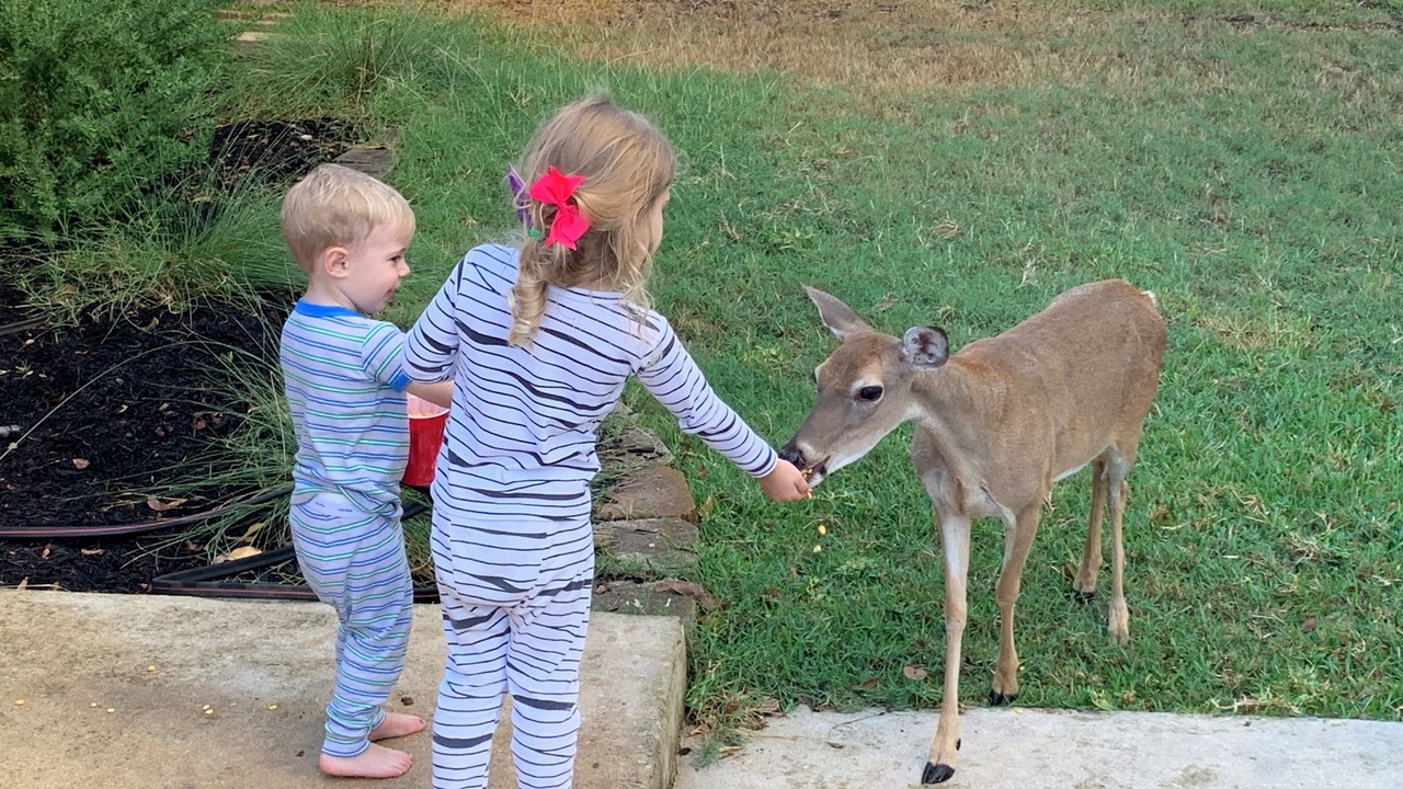 Photo of Others in Canyon Lake