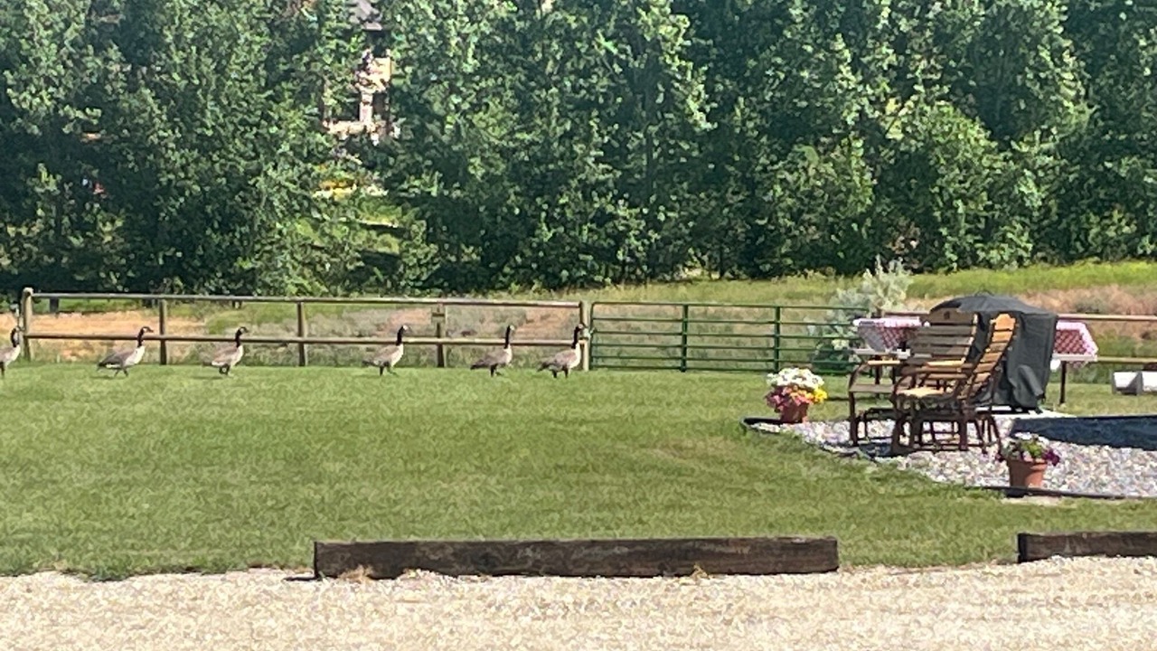 Photo of Outdoor in Corvallis