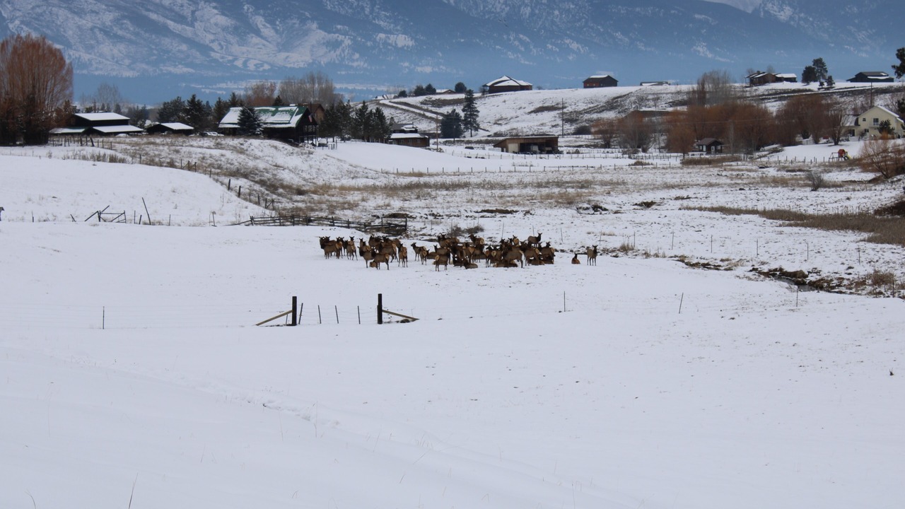 Photo of Others in Corvallis