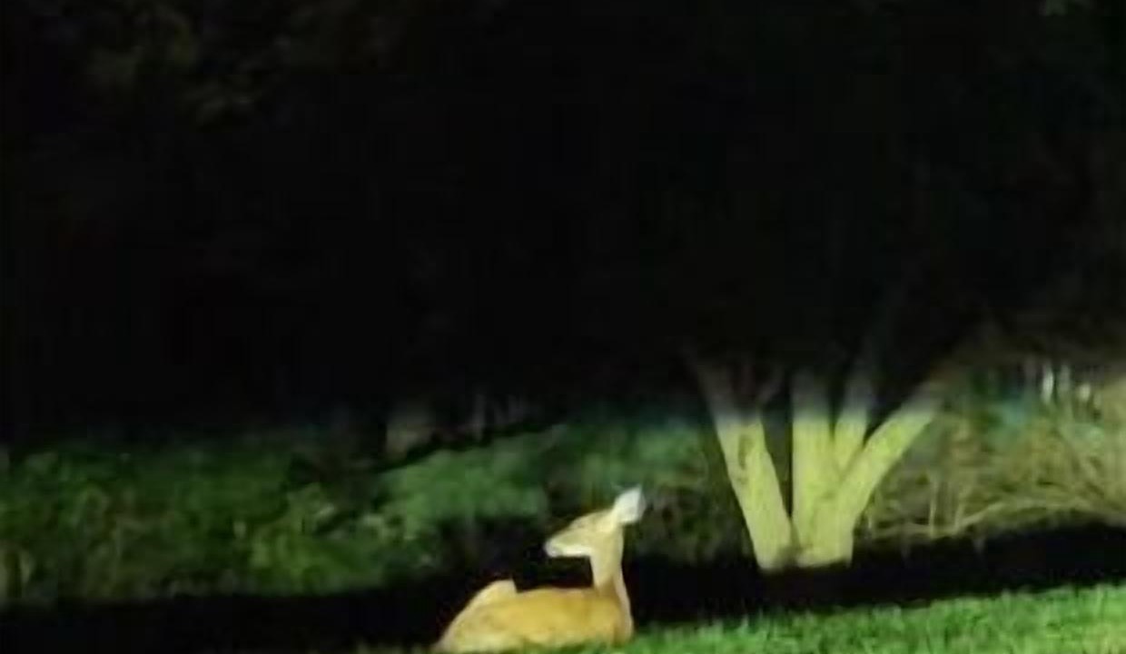 Photo of Others in Glen Arm