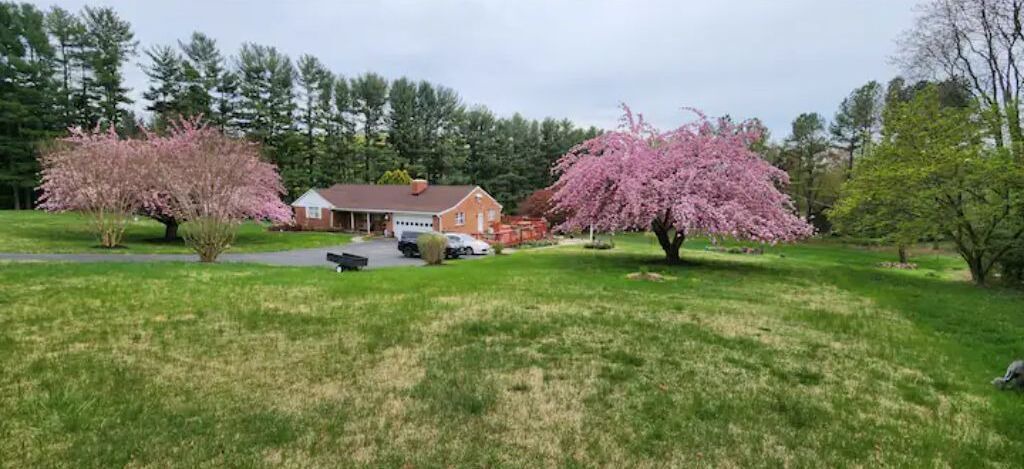 Photo of Others in Glen Arm