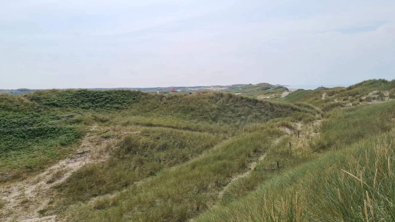 Photo of Others in Skagen