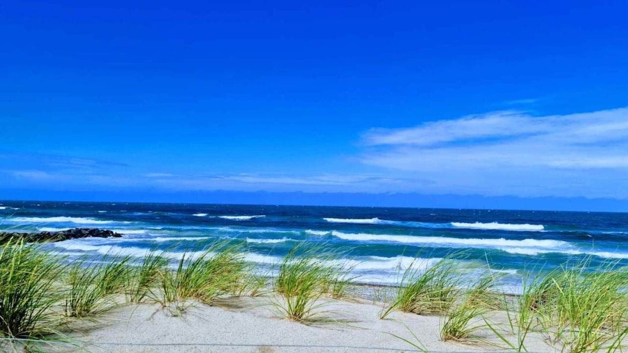 Photo of Others in Skagen