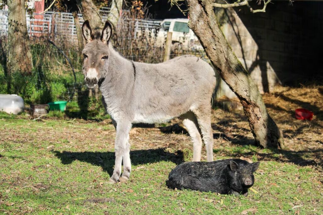 Photo of Outdoor in Verdun-en-Lauragais