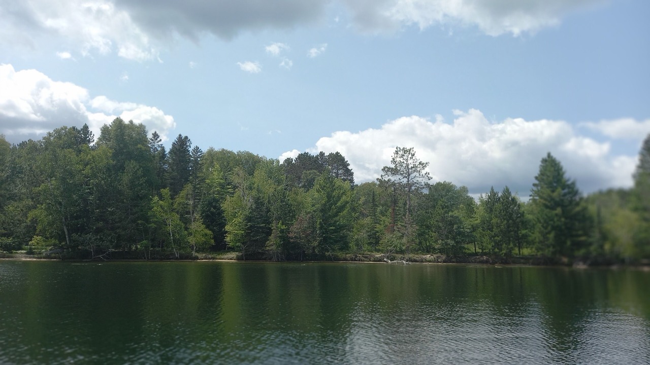 Photo of Others in Bigfork