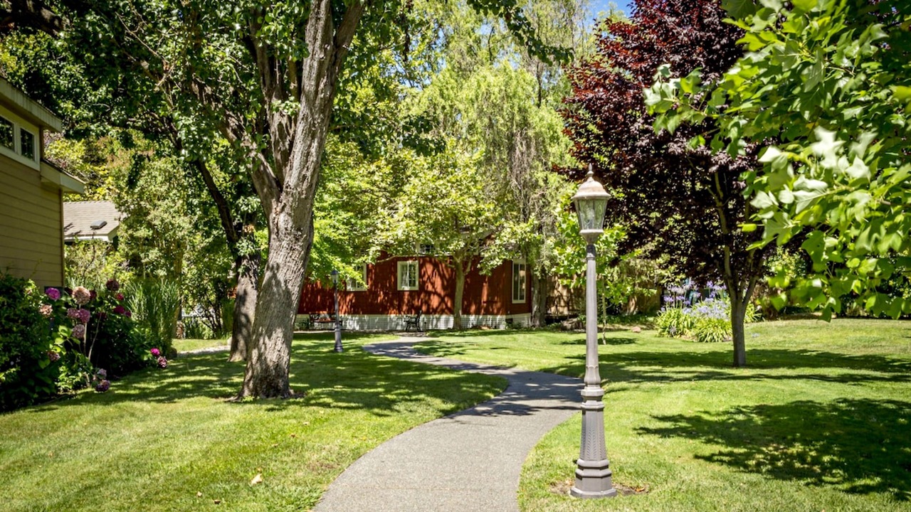 Photo of Outdoor in Napa