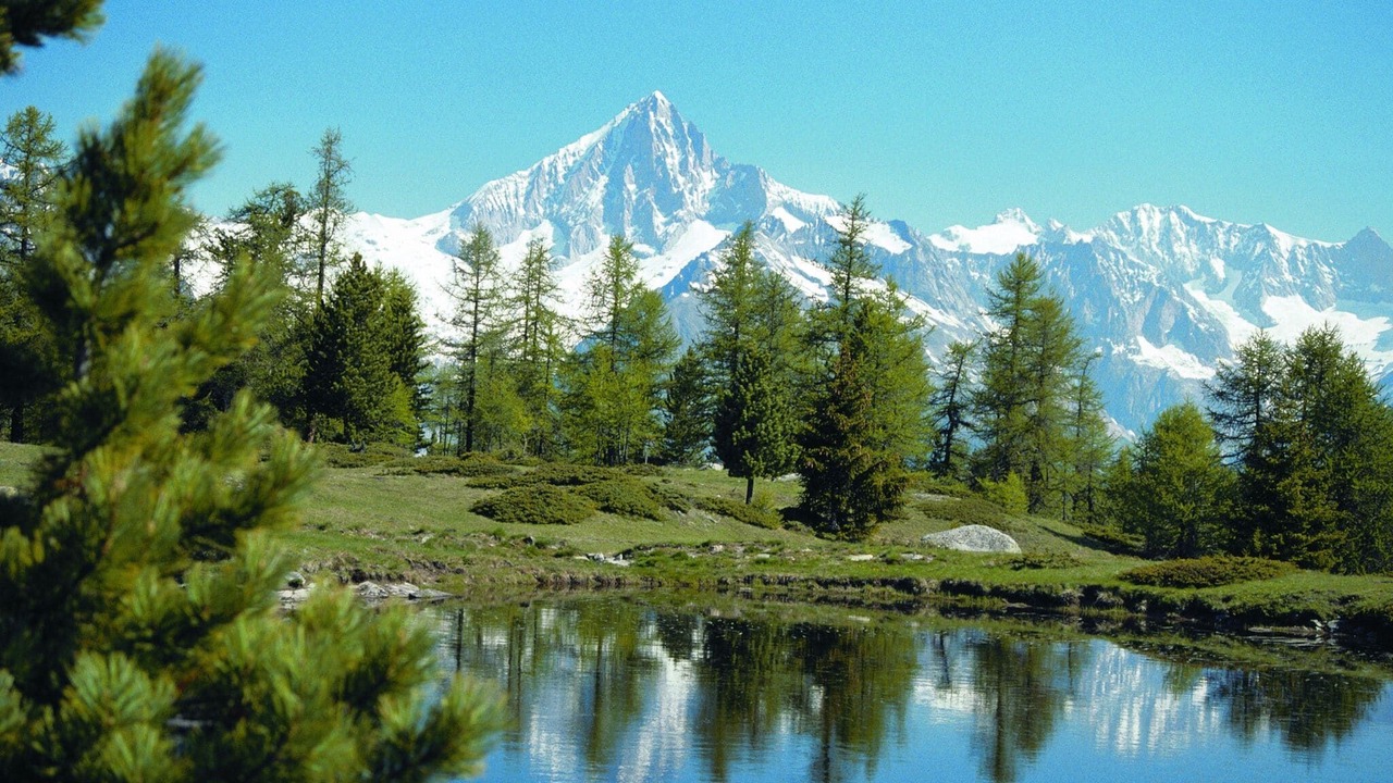 Photo of Others in Erschmatt
