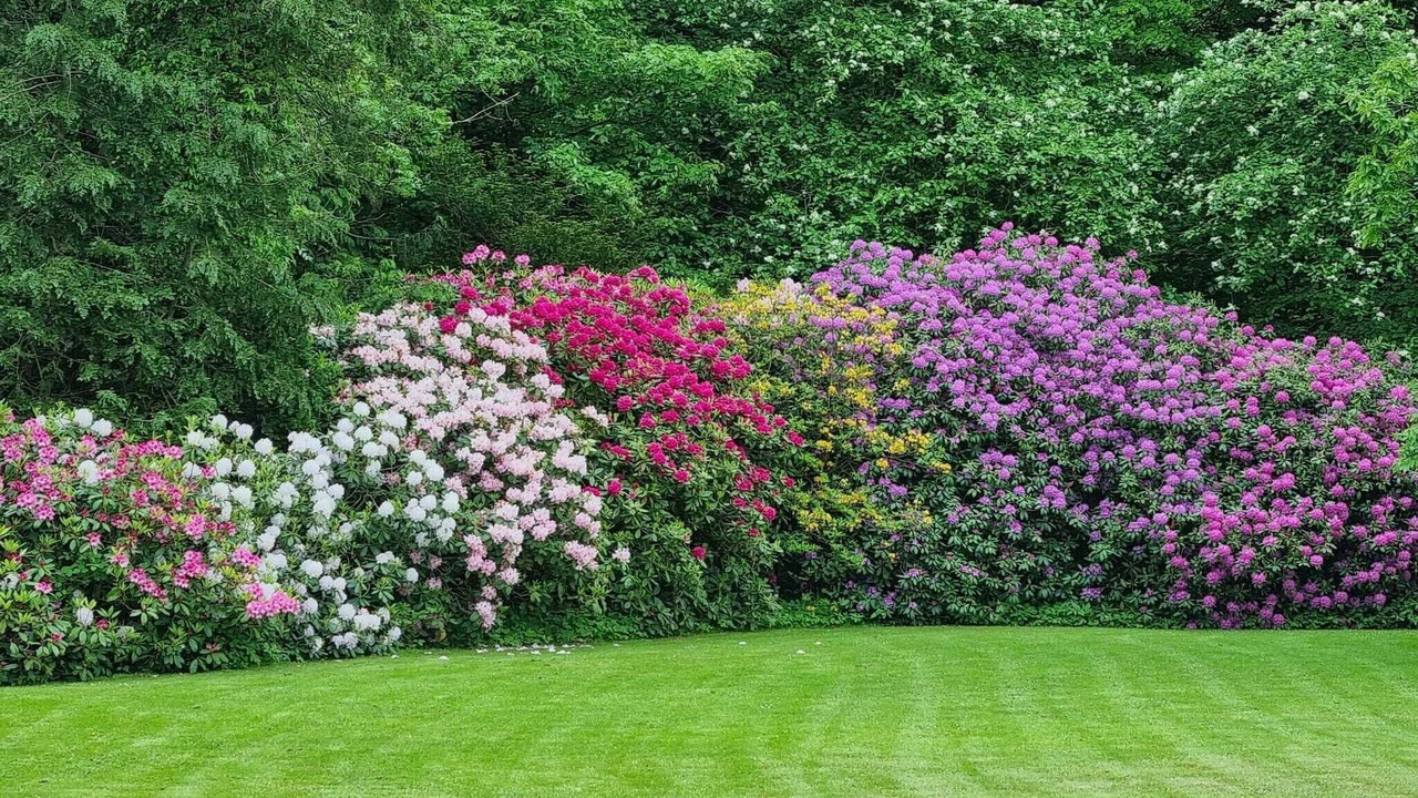 Photo of Outdoor in Hojer