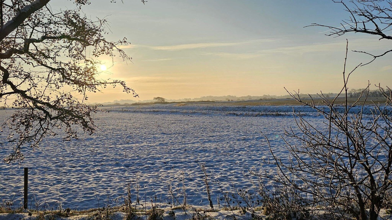 Photo of Others in Hojer