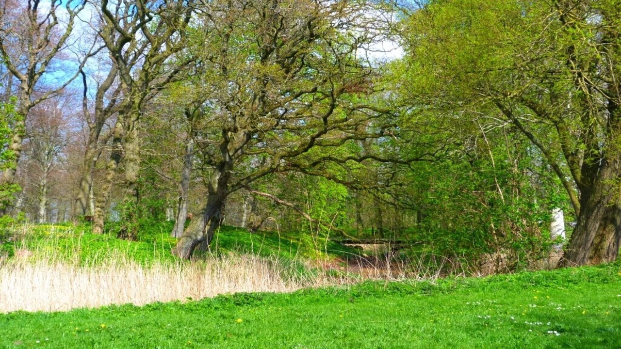 Photo of Others in Hojer