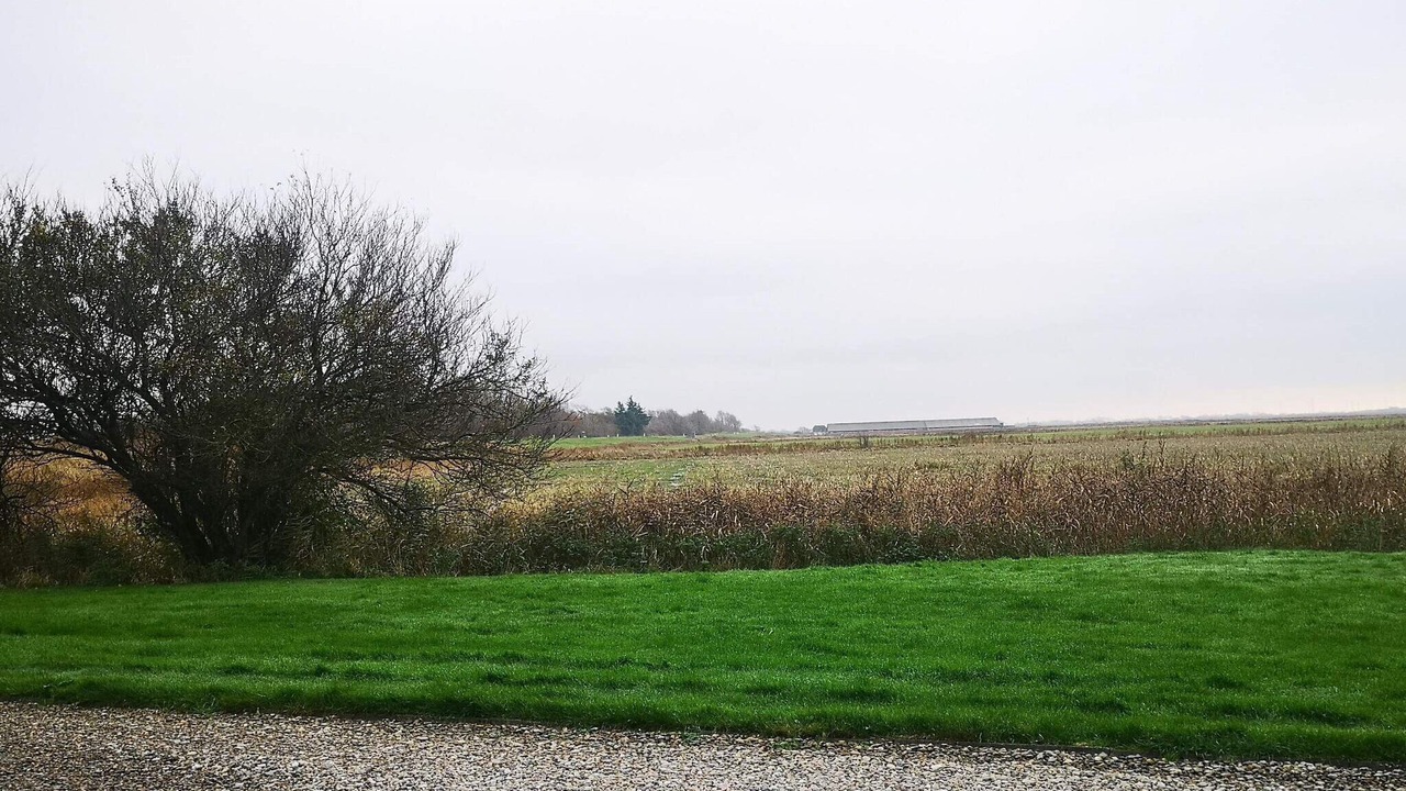Photo of Others in Hojer