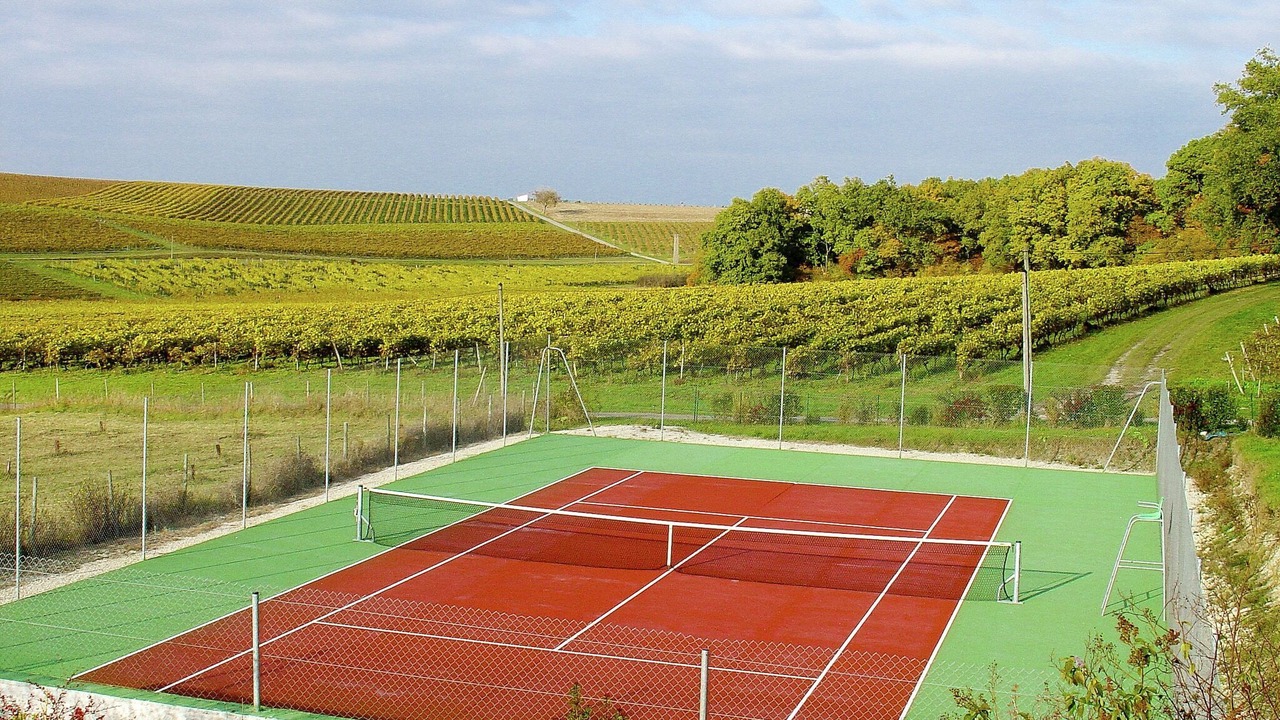 Photo of Others in Saint-Preuil