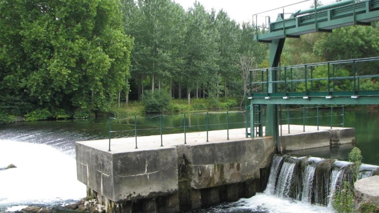 Photo of Others in Saint-Preuil