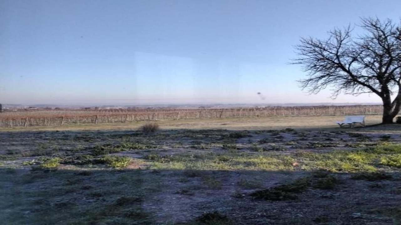 Photo of Others in Saint-Preuil