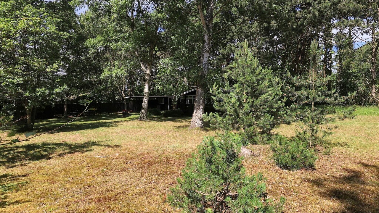 Photo of Others in Rodby