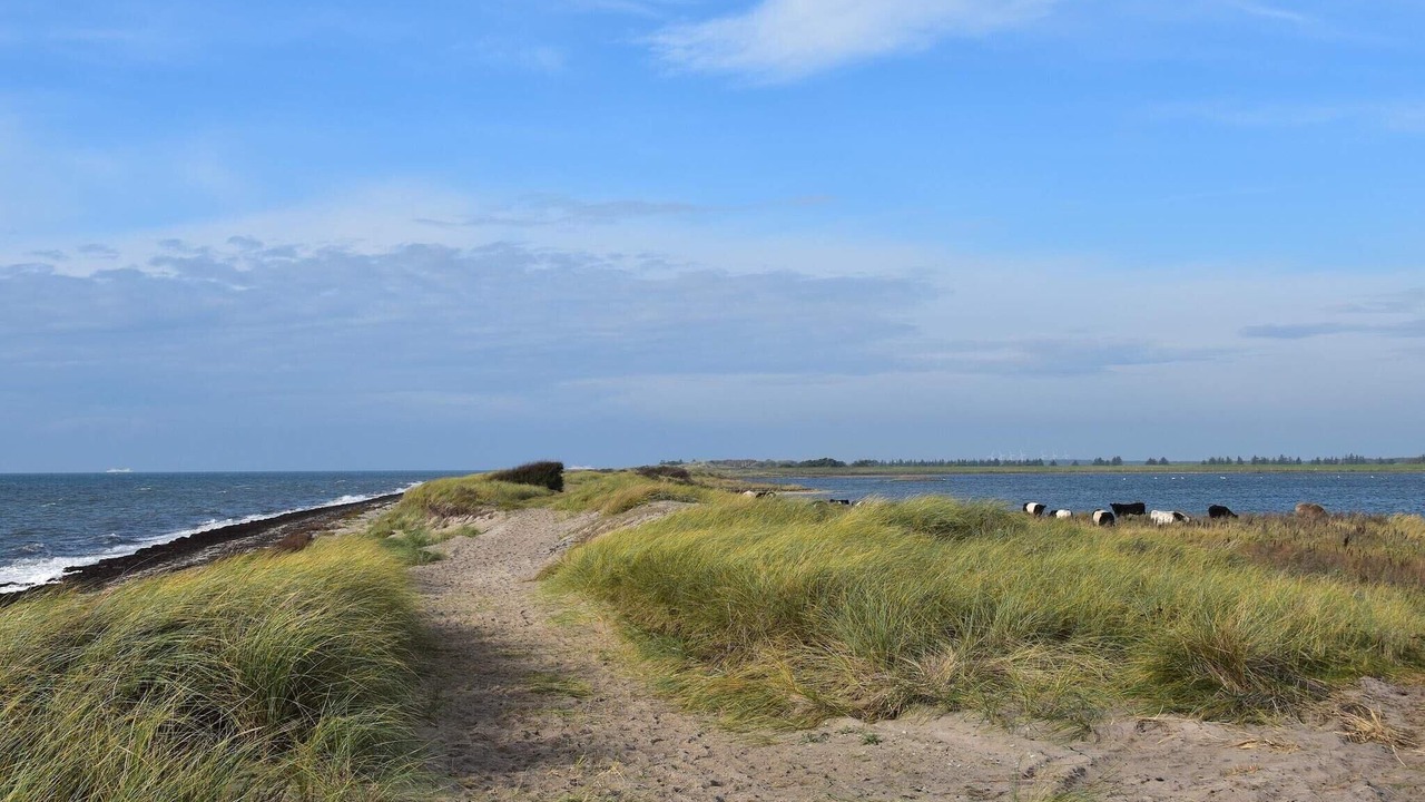 Photo of Others in Rodby