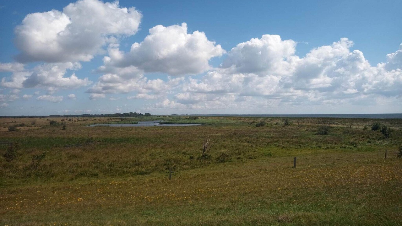 Photo of Others in Rodby