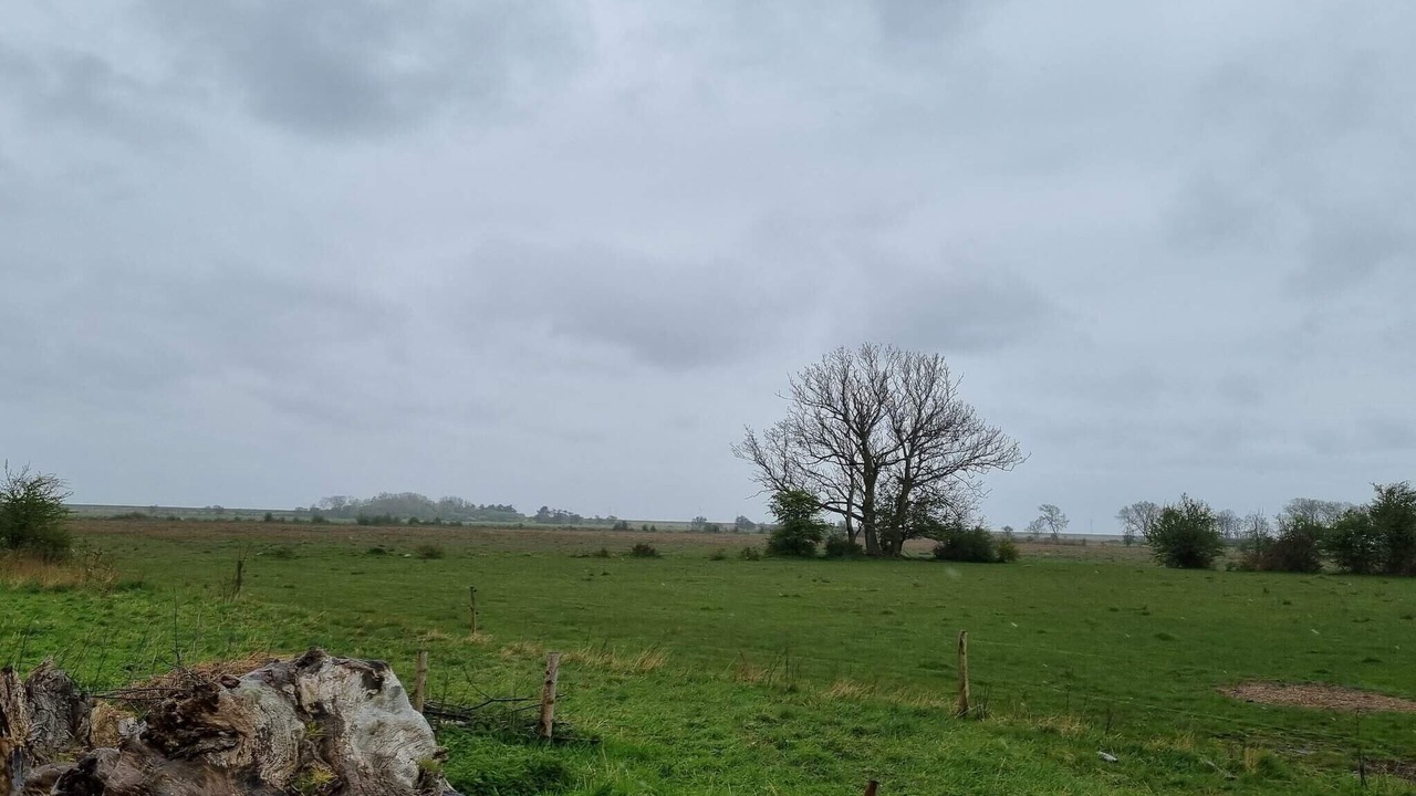 Photo of Others in Rodby
