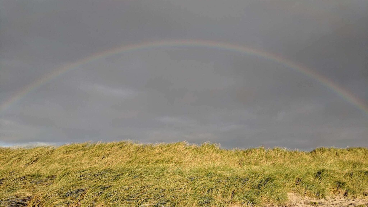 Photo of Others in Rodby