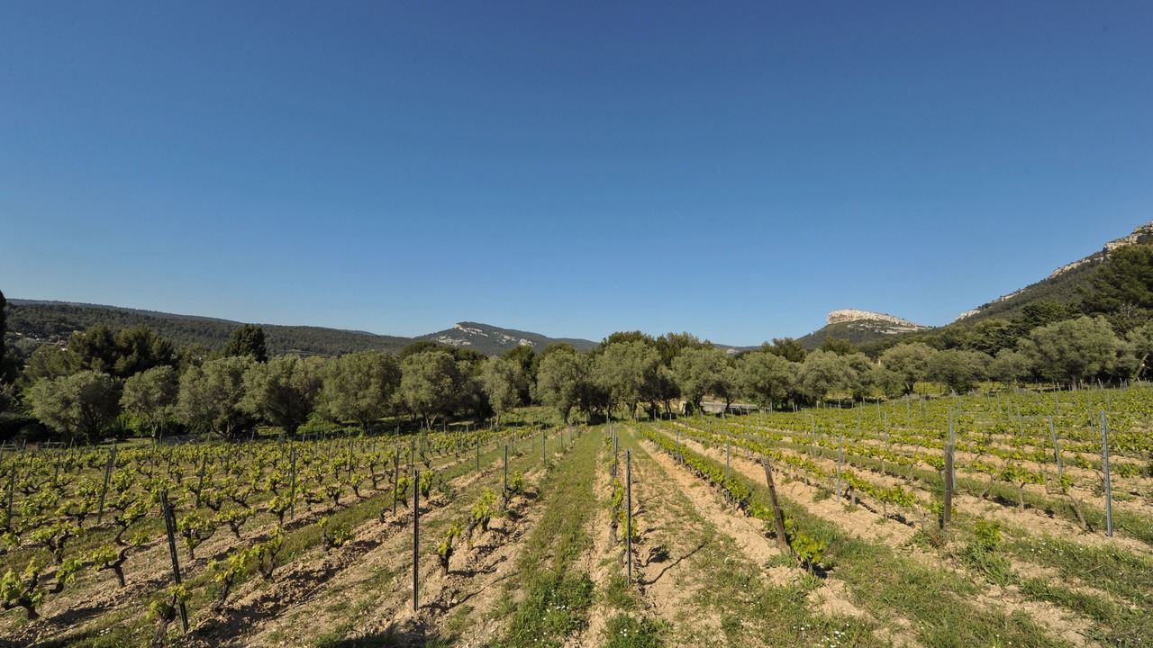 Photo of Outdoor in Cassis