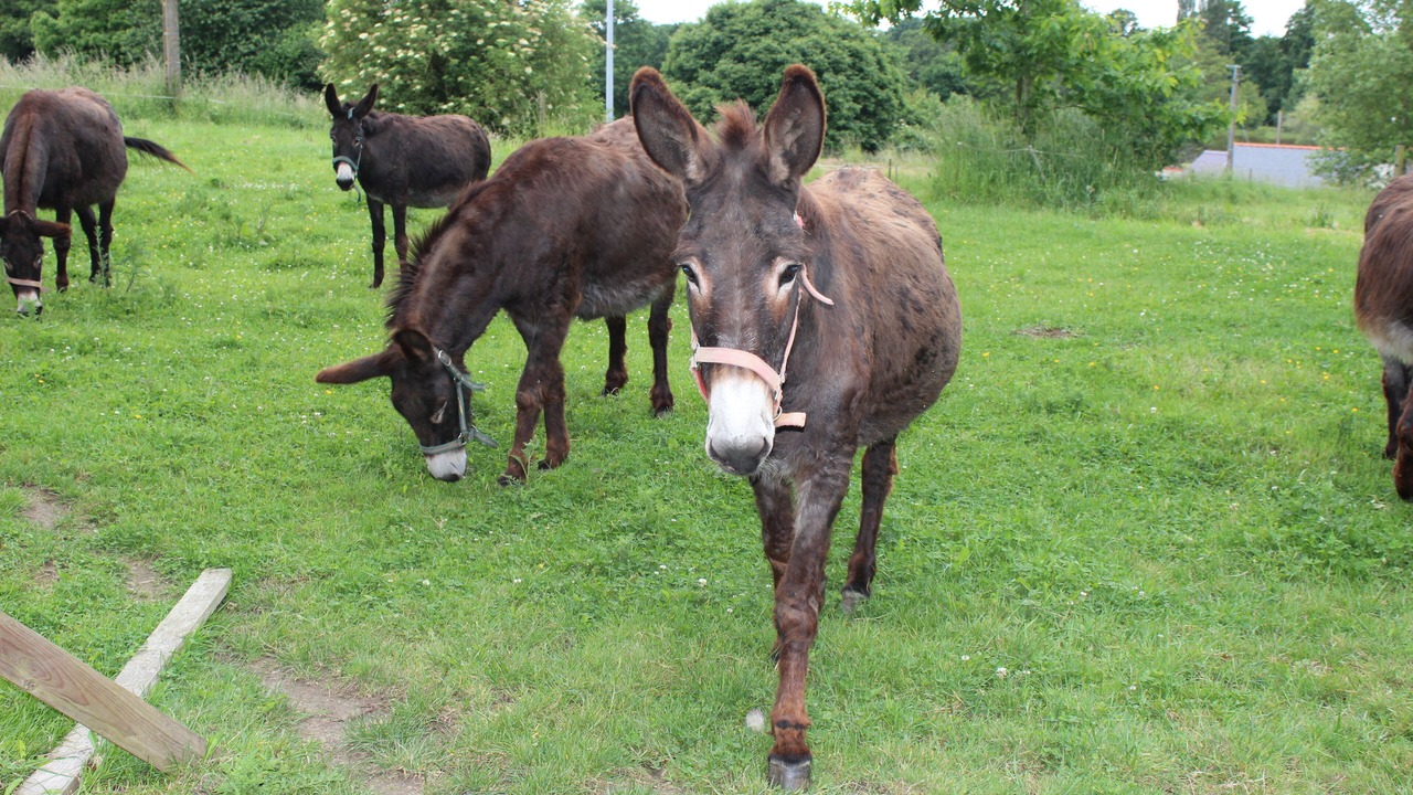 Photo of Outdoor in Javene