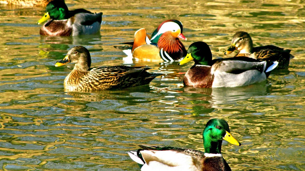 Photo of Outdoor in Tournon-Saint-Pierre