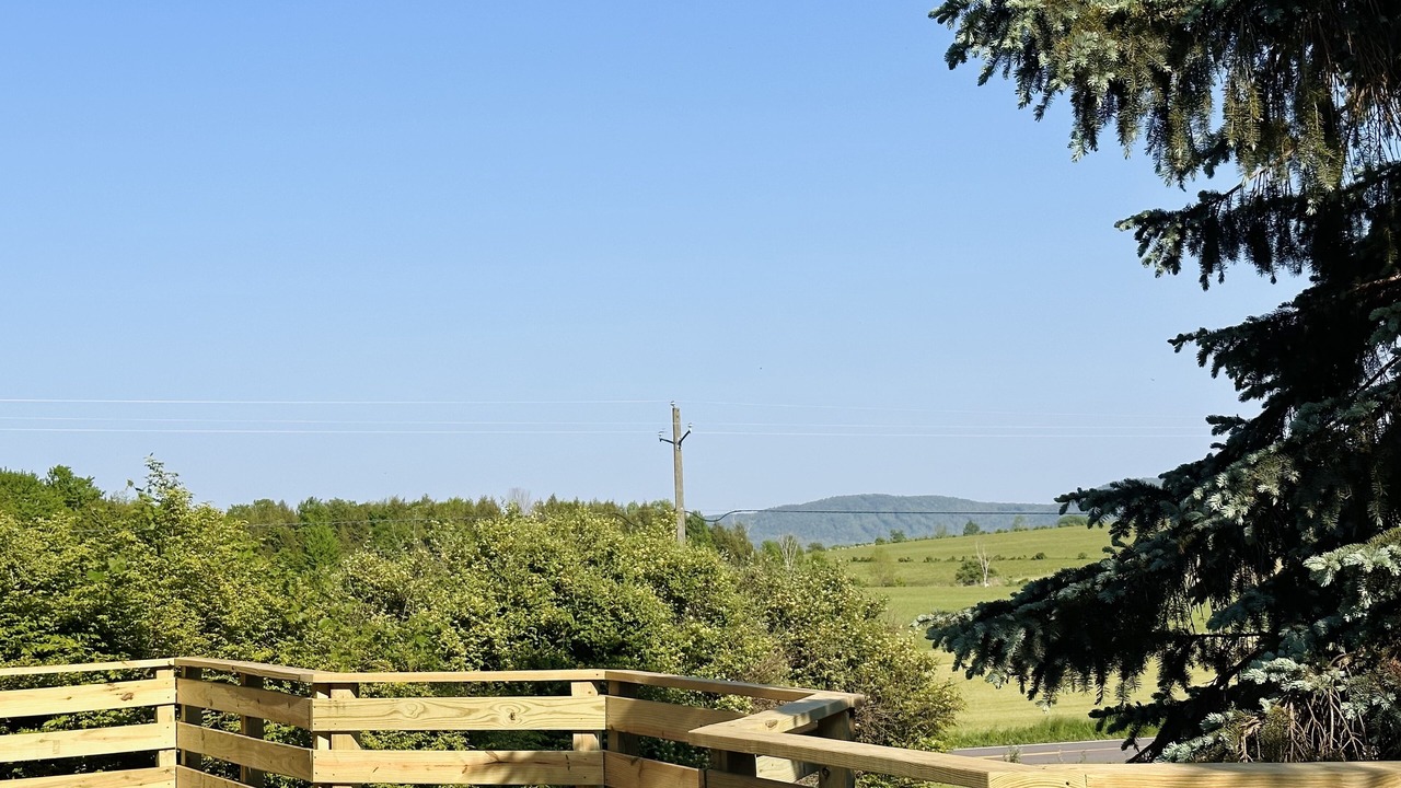 Photo of Outdoor in Collins Center