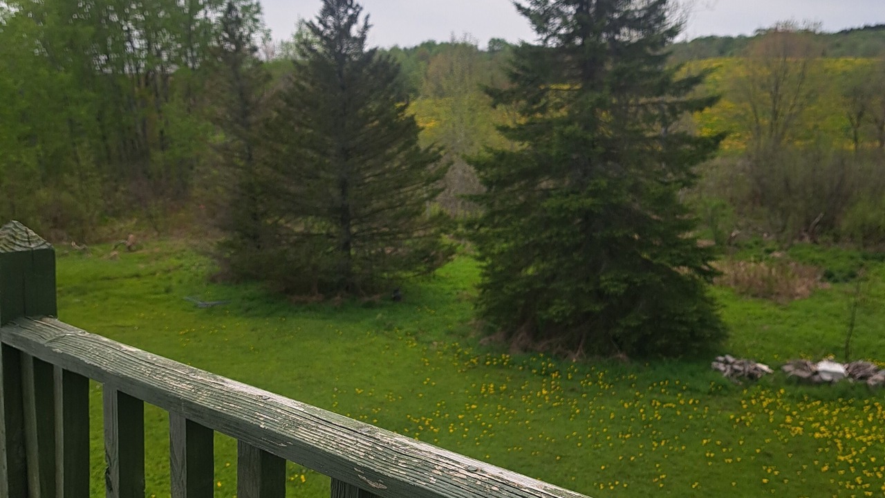 Photo of Outdoor in Lewis County